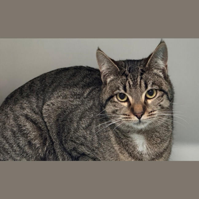 Photo of Peggy