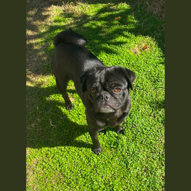 Photo of Dottie 🌸