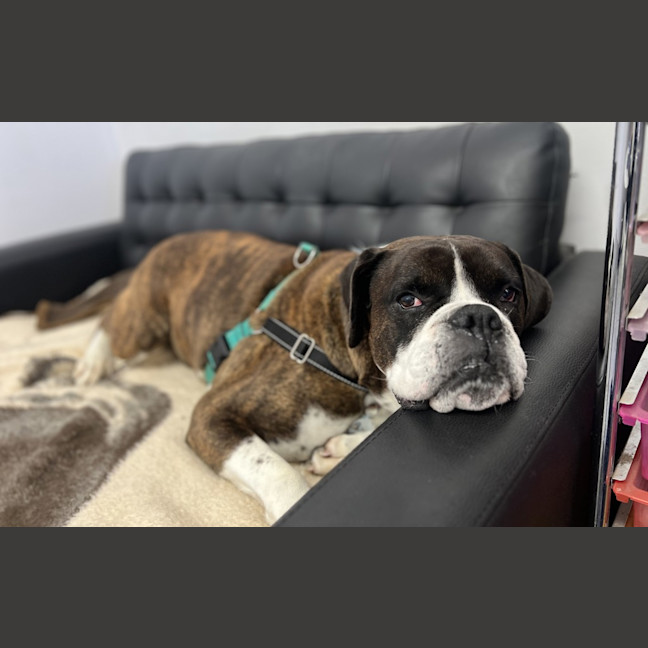 Photo of Ralphy