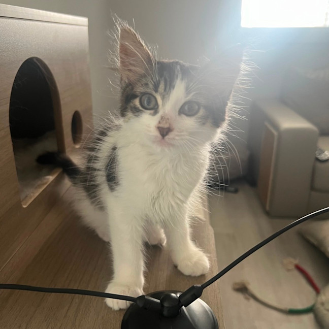 Photo of Audrey 💕