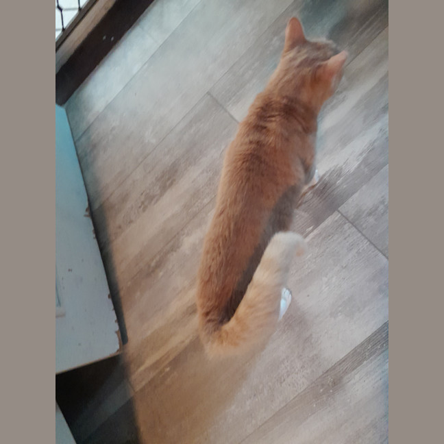 Photo of Elio