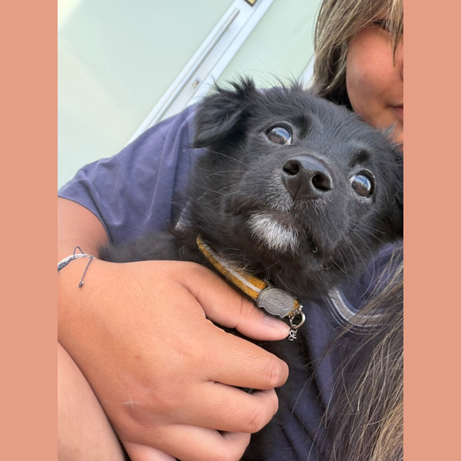 Photo of Rascal