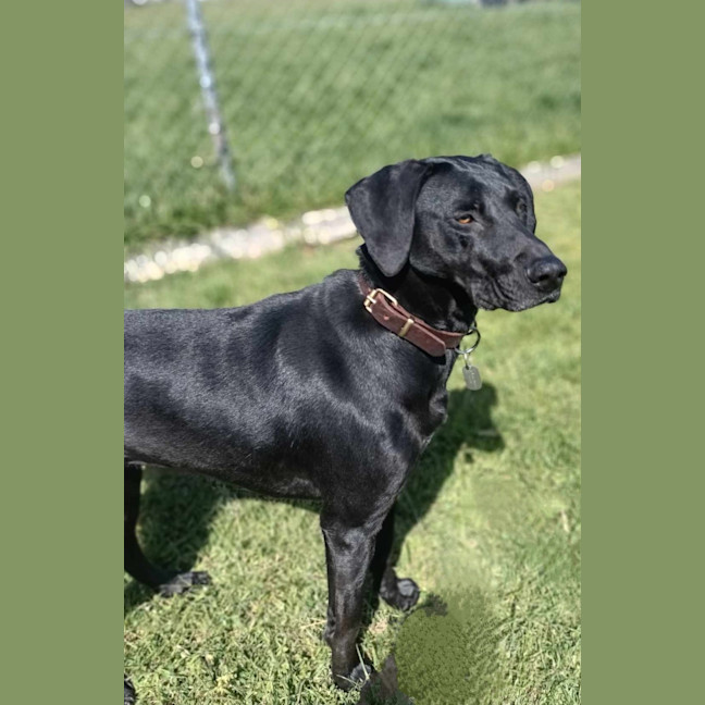 Photo of 🍁 Lucy 5575 🍁