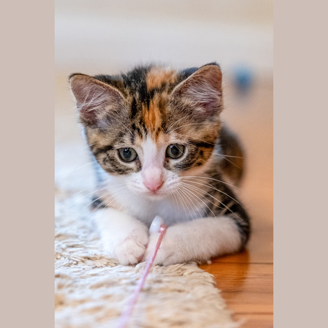 Photo of Zoe