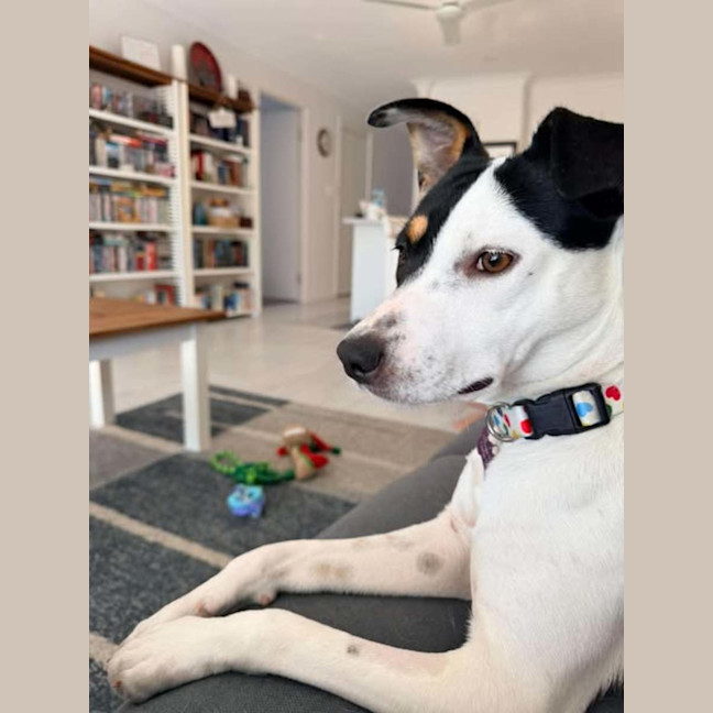 Photo of Heidi