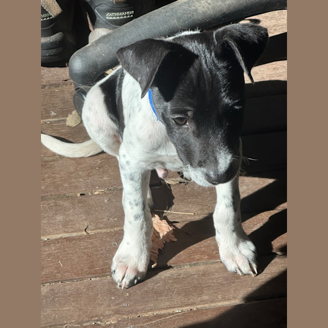 Photo of Iceman