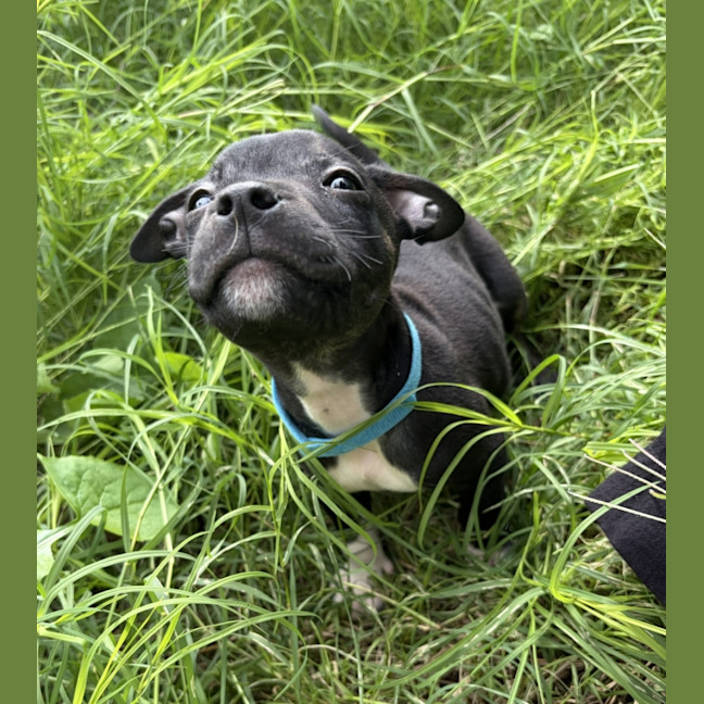 Photo of Leni