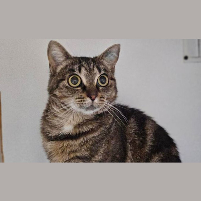 Photo of Betty Big Eyes