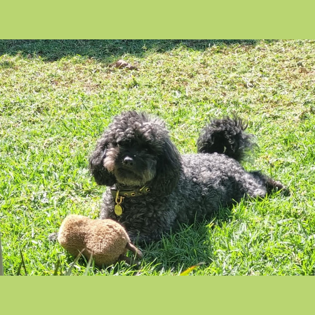 Photo of Alby