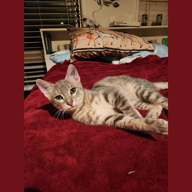 Photo of Ridoc