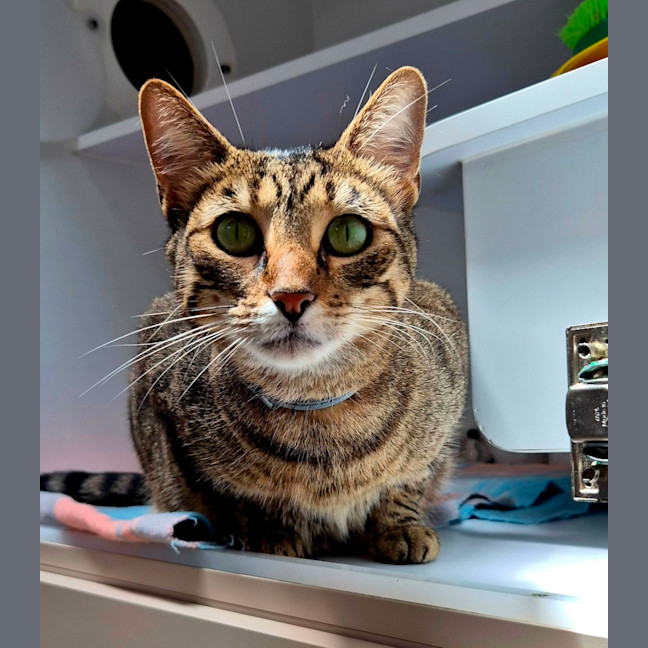 Photo of Linda (6749)