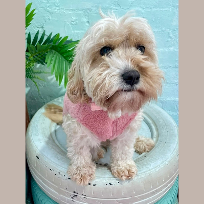 Photo of Amy