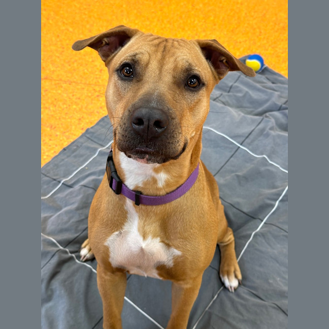 Photo of Cali