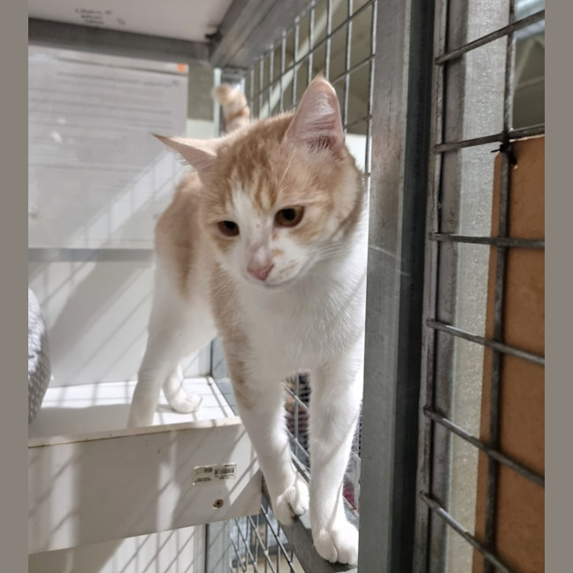 Photo of Timothy