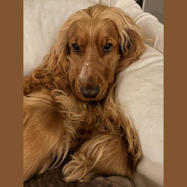 Photo of Cookie Dumont