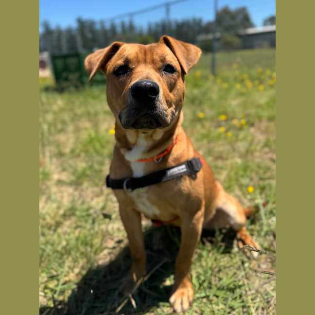 Photo of Arlo