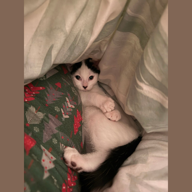 Photo of Josie (With Margo)