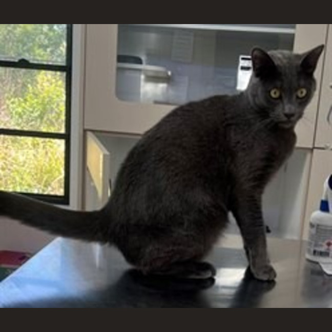 Photo of Micah (0005)