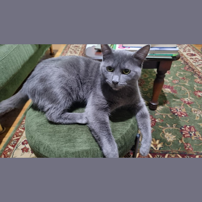 Photo of Sassy
