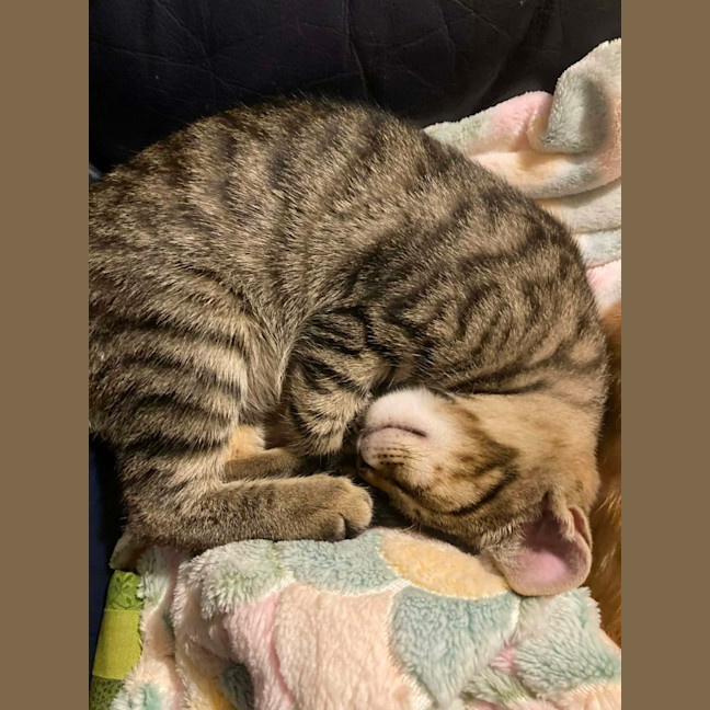 Photo of Hazel