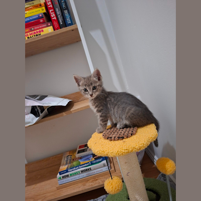 Photo of Otis