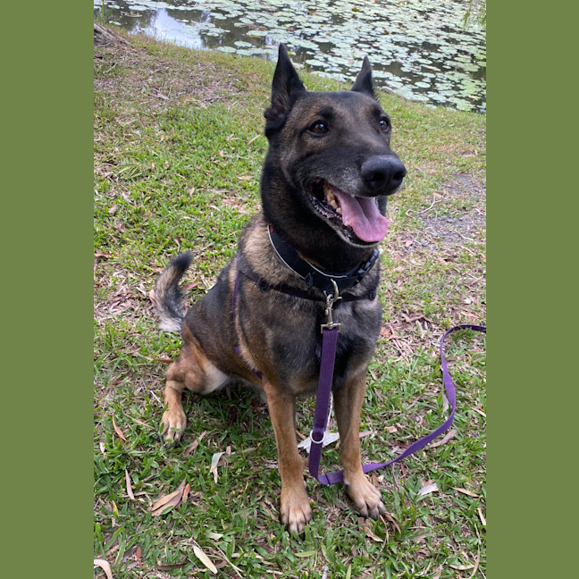 Photo of Buddy