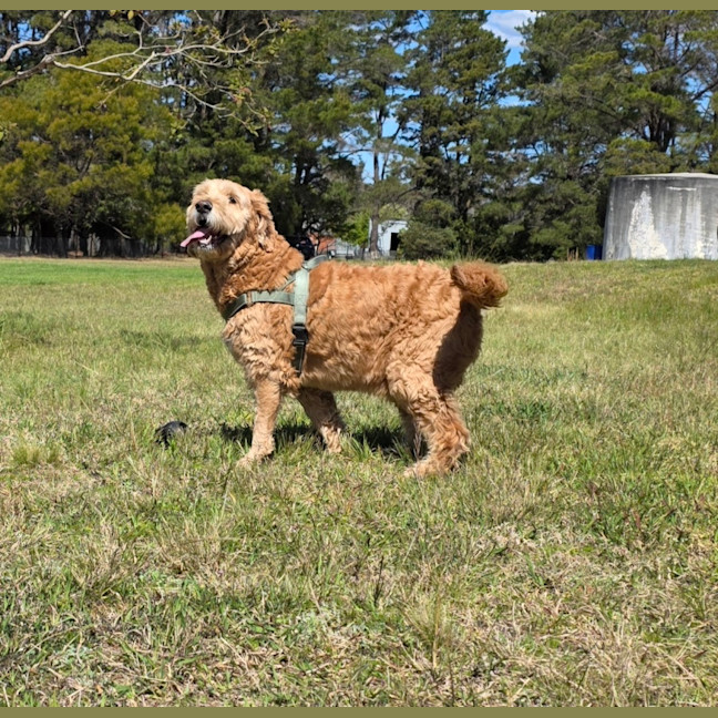 Photo of Ralph