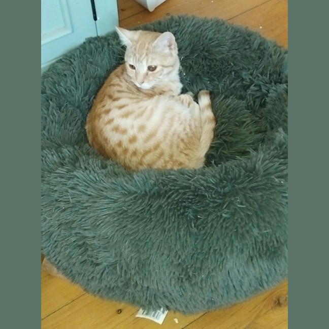 Photo of Kit