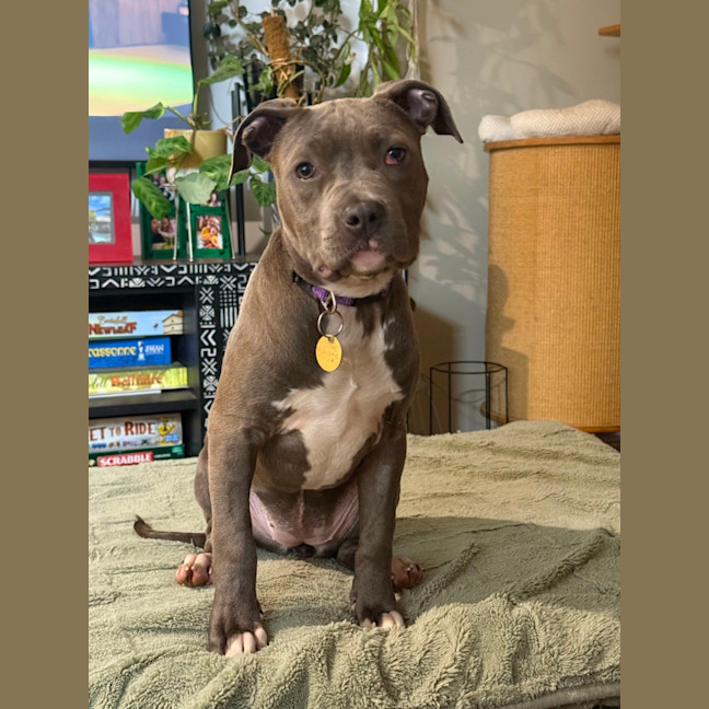 Photo of Azula