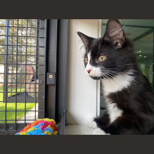 Photo of Bashar Tarr