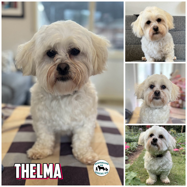 Photo of Thelma