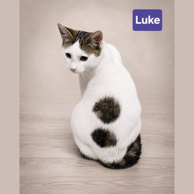 Photo of Luke