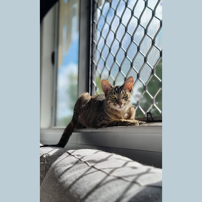 Photo of Nora