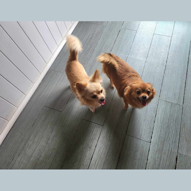 Photo of Reeba And Allan 