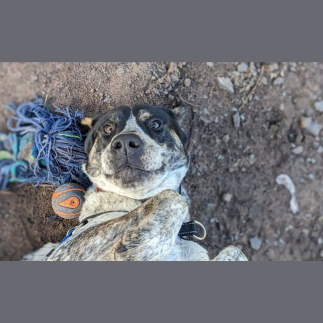 Photo of Dora