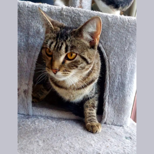 Photo of Sully 🌹🌹🌹