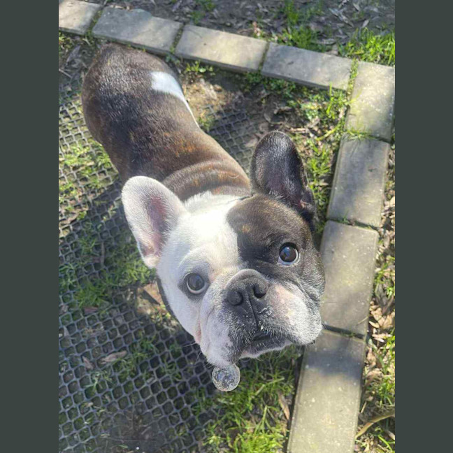 Photo of Ruffo