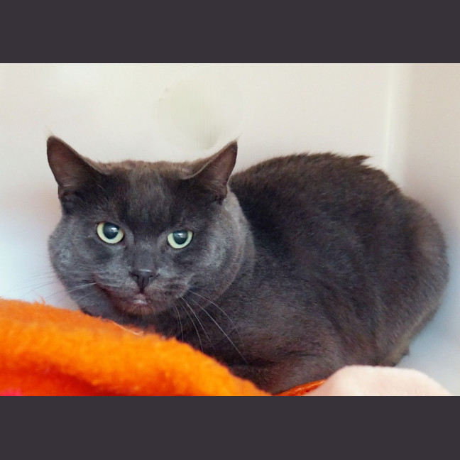 Photo of Arty Sta015109