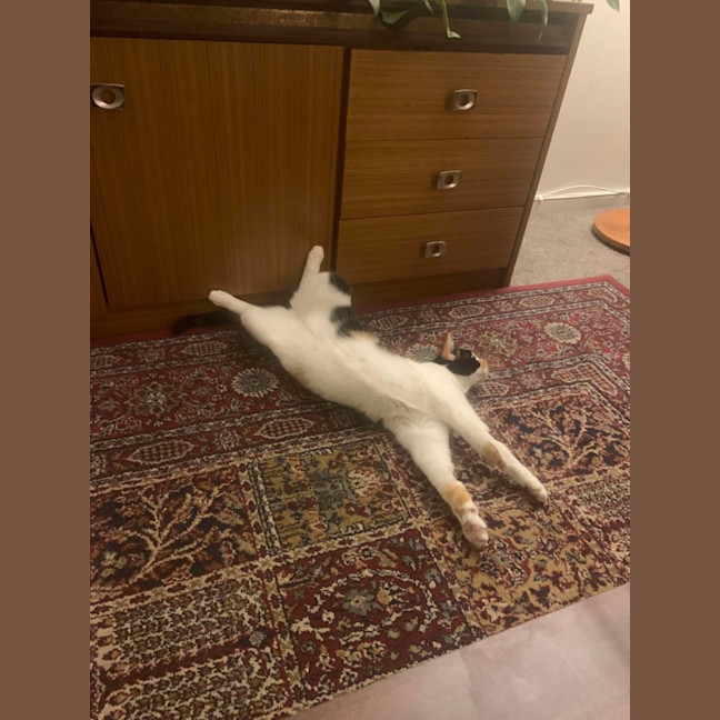 Photo of Maia   Located In Preston