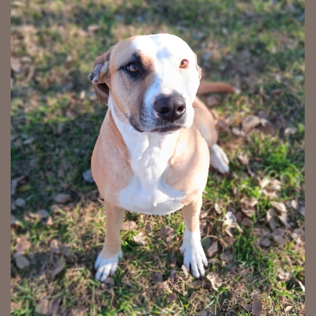 Photo of Rocket