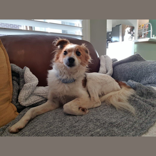 Photo of Basil Silvanus