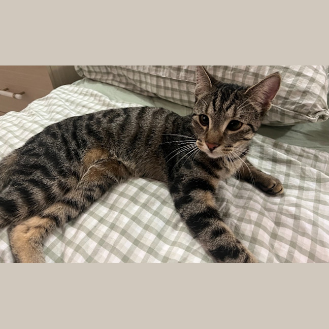 Photo of Reggie