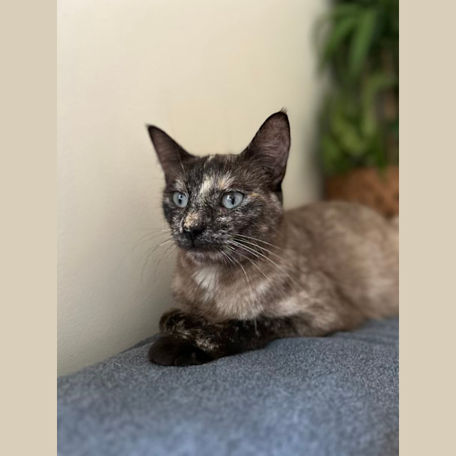 Photo of Paige   Located In Lower Plenty