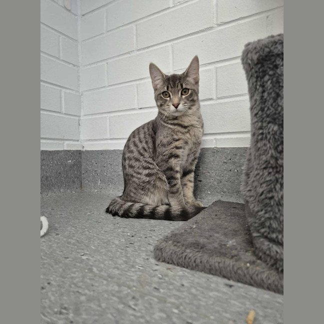 Photo of Autumn! 🍁