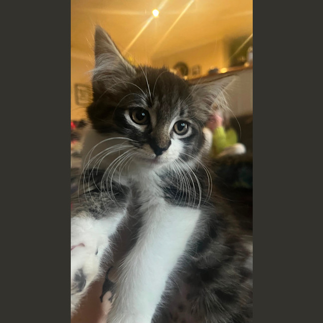 Photo of Bohdi & Lottie