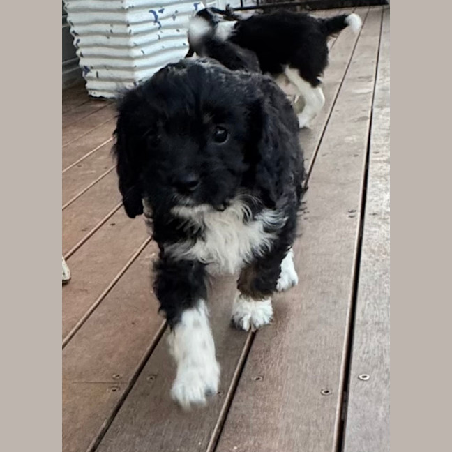 Photo of Zoe