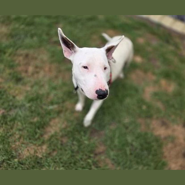 Photo of Roxie