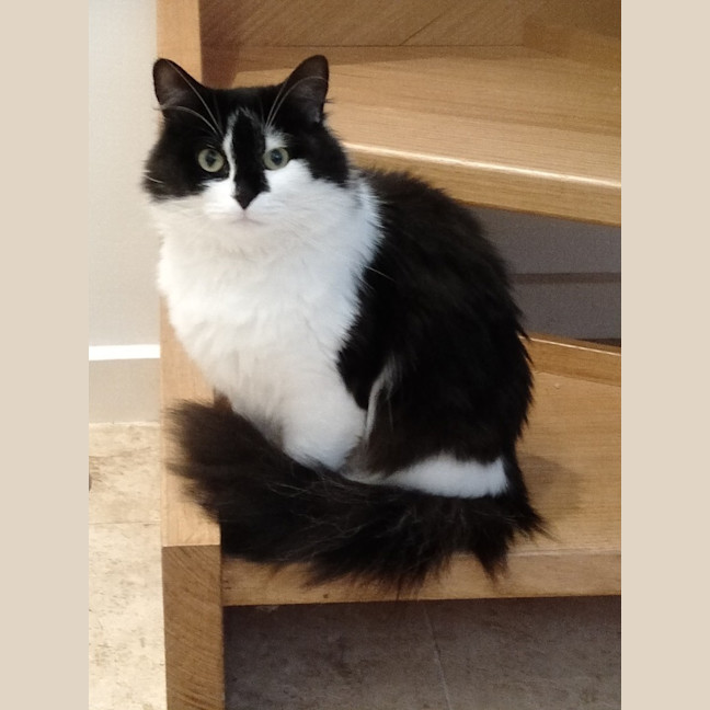 Photo of Kyle Rsta011628