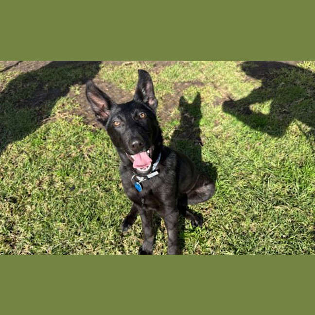 Photo of Lola