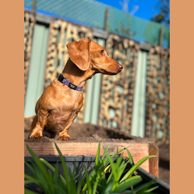 Photo of Eviee